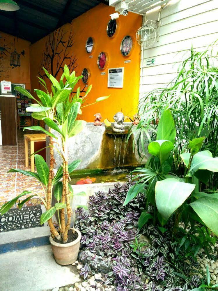 Yin Yang Guesthouse Τσιάνγκ Μάι Εξωτερικό φωτογραφία